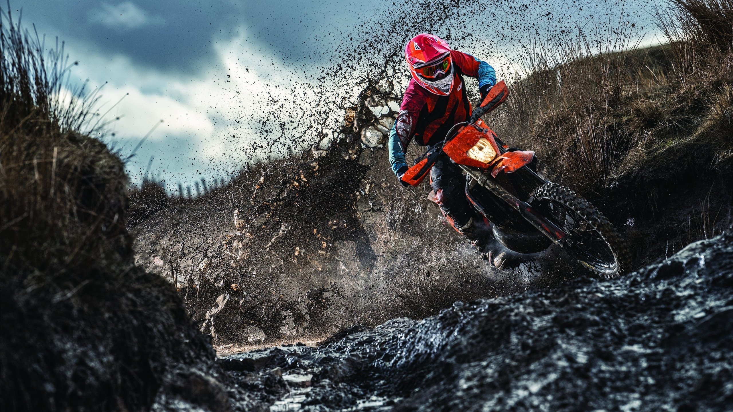 开云·体育官网-“室内福乐球，冠军之争悬念重重！”