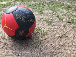 开云·Kaiyun网页版-“沙滩赛场燃爆天府新区，沙滩手球和合球上演极限对决”