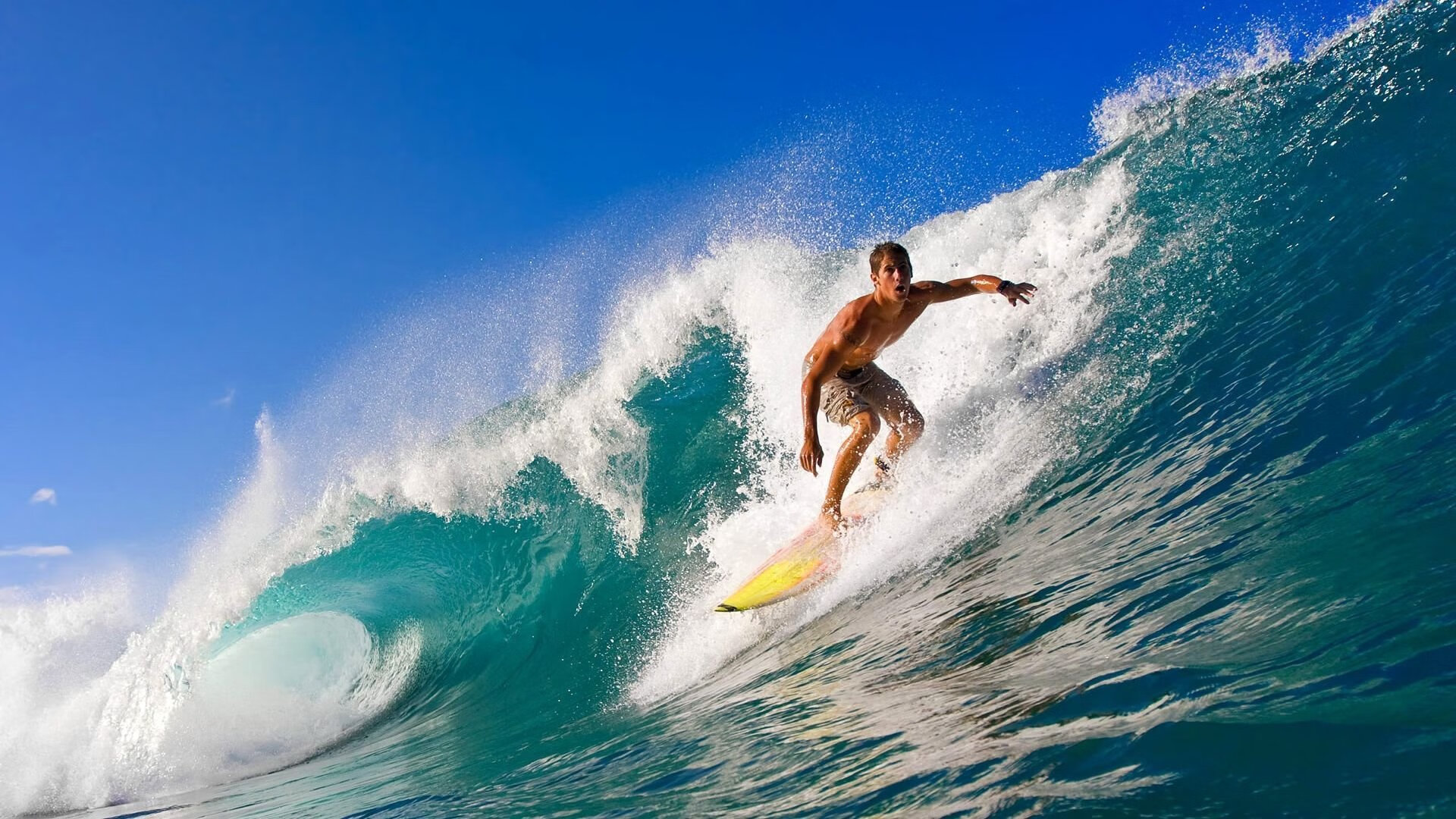 开云网站-体育新闻中心推动体育赛事版权保护技术研发，体育赛事媒体运行服务